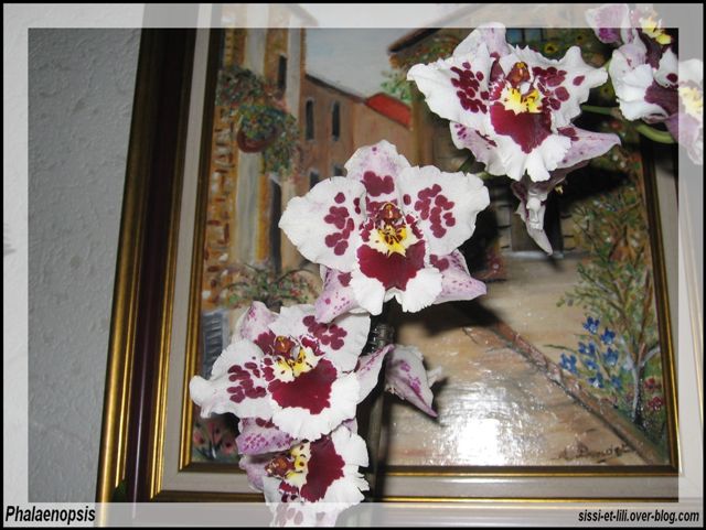Image hébergée par Casimages.com : votre hébergeur d images simple et gratuit