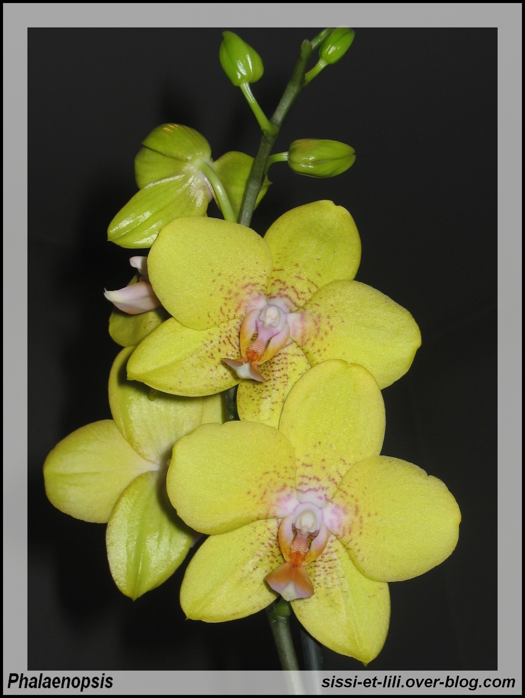Image hébergée par Casimages.com : votre hébergeur d images simple et gratuit