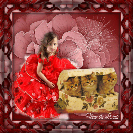Image hébergée par Casimages.com : votre hébergeur d images simple et gratuit