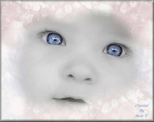 Image hébergée par Casimages.com : votre hébergeur d images simple et gratuit