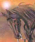 Image hébergée par Casimages.com : votre hébergeur d images simple et gratuit