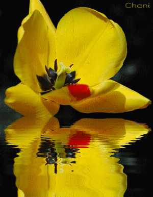 Image hébergée par Casimages.com : votre hébergeur d images simple et gratuit