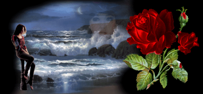 Image hébergée par Casimages.com : votre hébergeur d images simple et gratuit