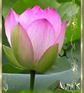 Image hébergée par Casimages.com : votre hébergeur d images simple et gratuit