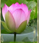 Image hébergée par Casimages.com : votre hébergeur d images simple et gratuit