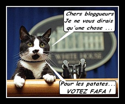 Image hébergée par Casimages.com : votre hébergeur d images simple et gratuit