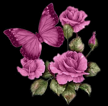 Image hébergée par Casimages.com : votre hébergeur d images simple et gratuit
