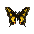 Image hébergée par Casimages.com : votre hébergeur d images simple et gratuit