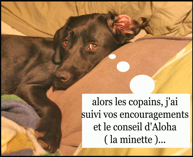 Image h�berg�e par Casimages.com : votre h�bergeur d images simple et gratuit