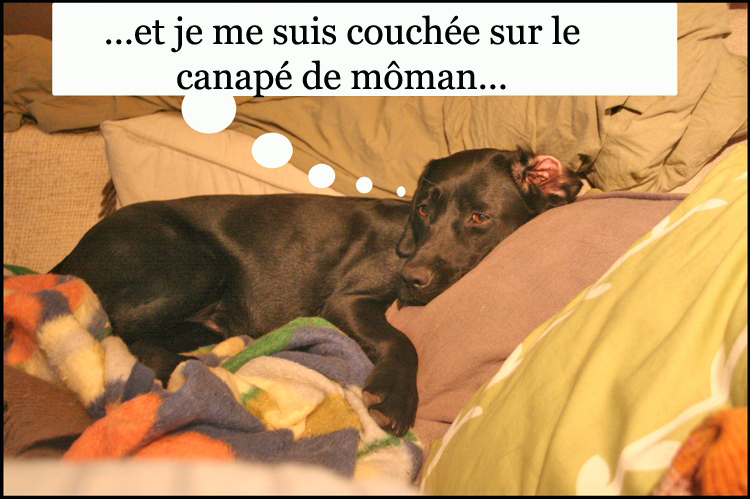 Image h�berg�e par Casimages.com : votre h�bergeur d images simple et gratuit