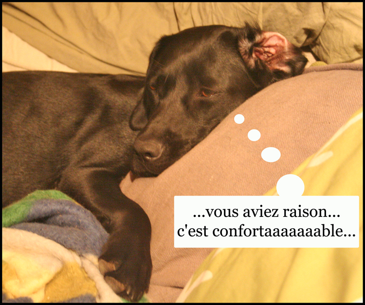 Image h�berg�e par Casimages.com : votre h�bergeur d images simple et gratuit