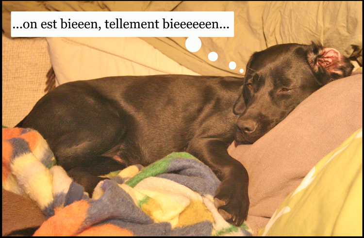 Image h�berg�e par Casimages.com : votre h�bergeur d images simple et gratuit