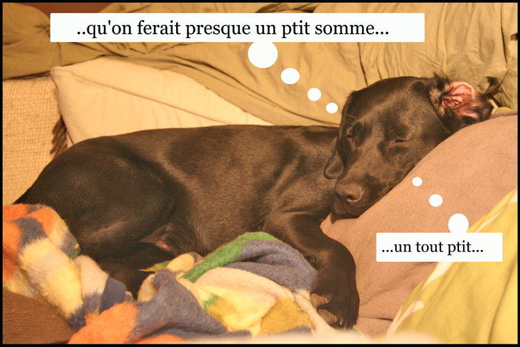 Image h�berg�e par Casimages.com : votre h�bergeur d images simple et gratuit