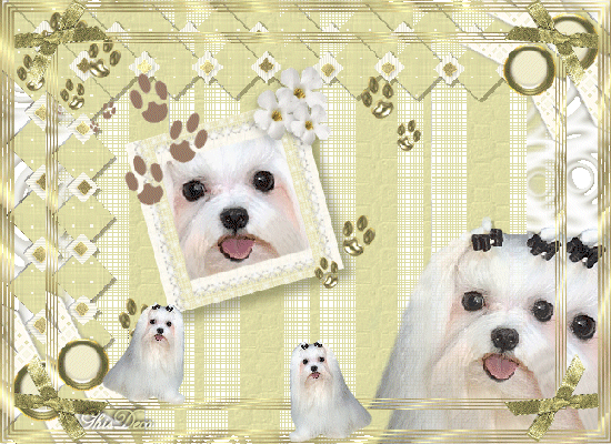 Image hébergée par Casimages.com : votre hébergeur d images simple et gratuit