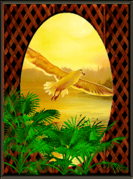 Image hébergée par Casimages.com : votre hébergeur d images simple et gratuit