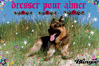 Cliquez pour afficher l'image en taille r�elle