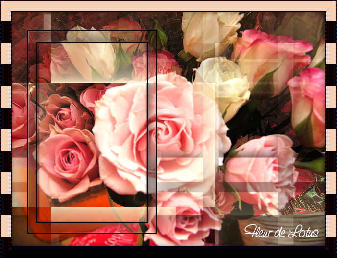 Image hébergée par Casimages.com : votre hébergeur d images simple et gratuit