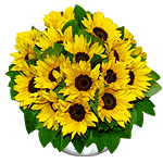 Image hébergée par Casimages.com : votre hébergeur d images simple et gratuit