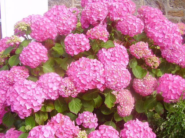Image hébergée par Casimages.com : votre hébergeur d images simple et gratuit