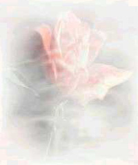 Image hébergée par Casimages.com : votre hébergeur d images simple et gratuit