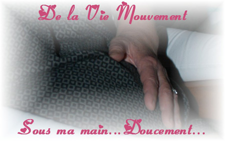 Image hébergée par Casimages.com : votre hébergeur d images simple et gratuit