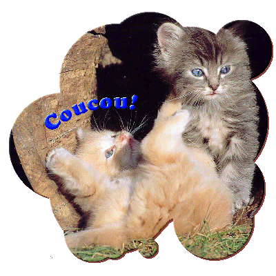 Image hébergée par Casimages.com : votre hébergeur d images simple et gratuit