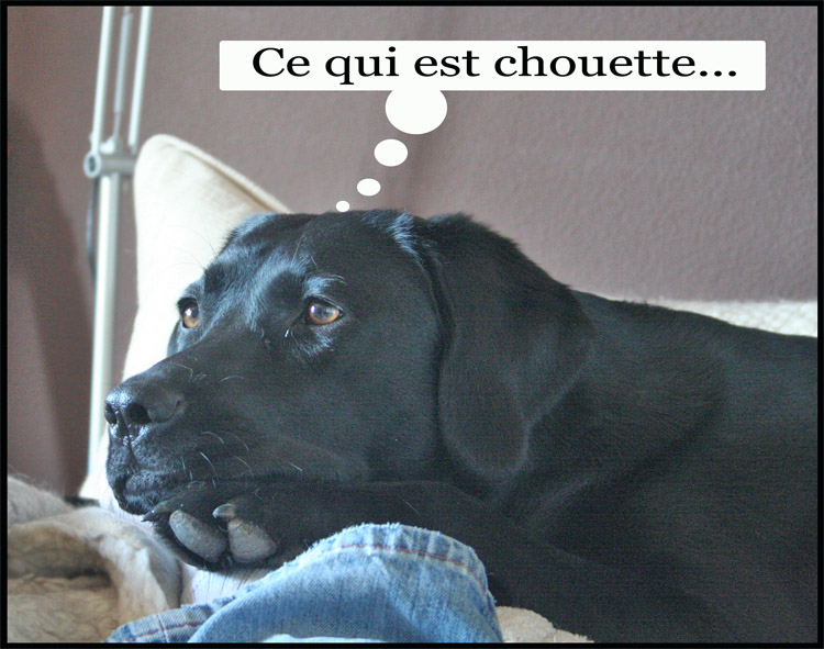 Image h�berg�e par Casimages.com : votre h�bergeur d images simple et gratuit