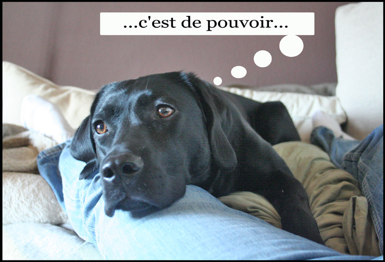 Image h�berg�e par Casimages.com : votre h�bergeur d images simple et gratuit