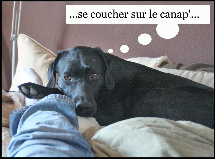 Image h�berg�e par Casimages.com : votre h�bergeur d images simple et gratuit
