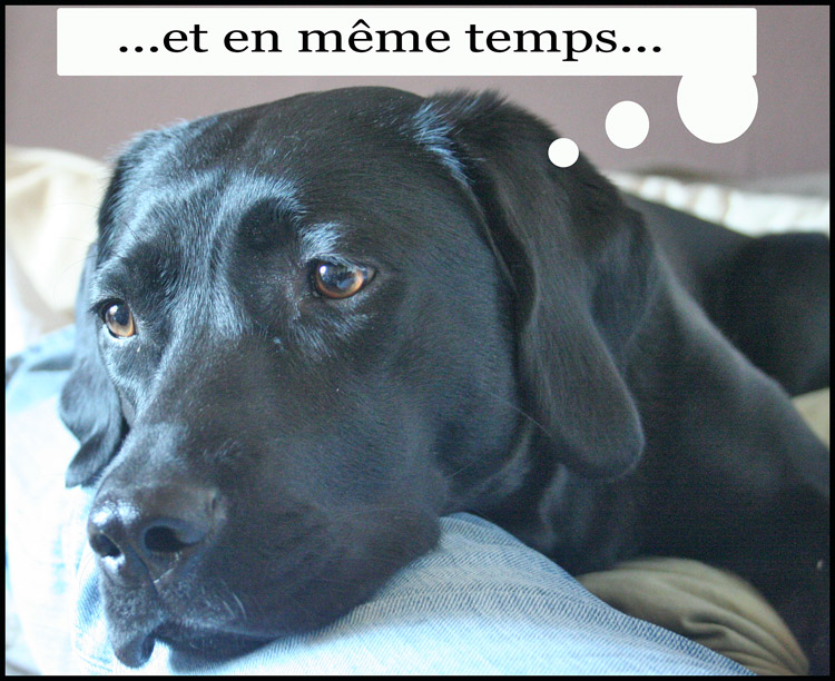 Image h�berg�e par Casimages.com : votre h�bergeur d images simple et gratuit