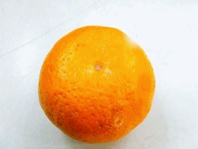 http://nsm01.casimages.com/img/2008/01/16//080116123846140021612989.gif