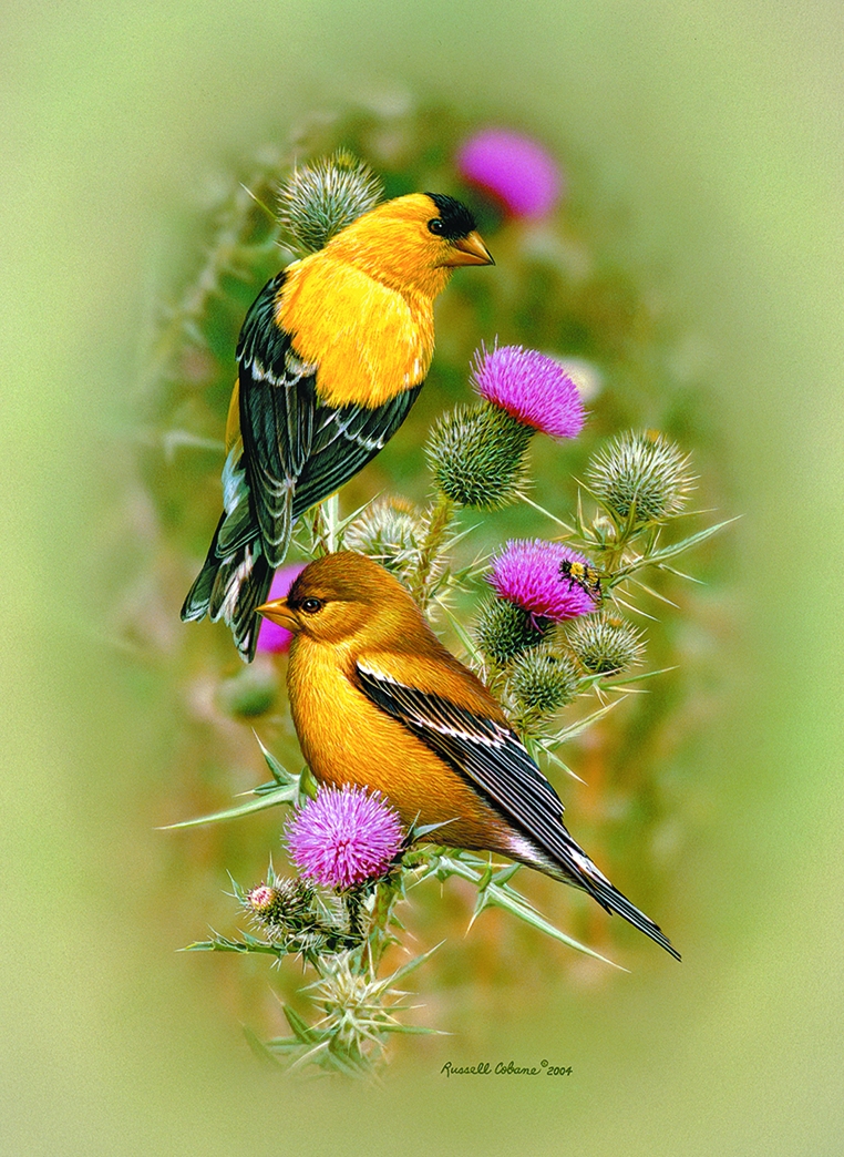 Image hébergée par Casimages.com : votre hébergeur d images simple et gratuit