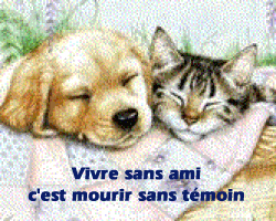 Image hberge par Casimages.com : votre hbergeur d images simple
et gratuit