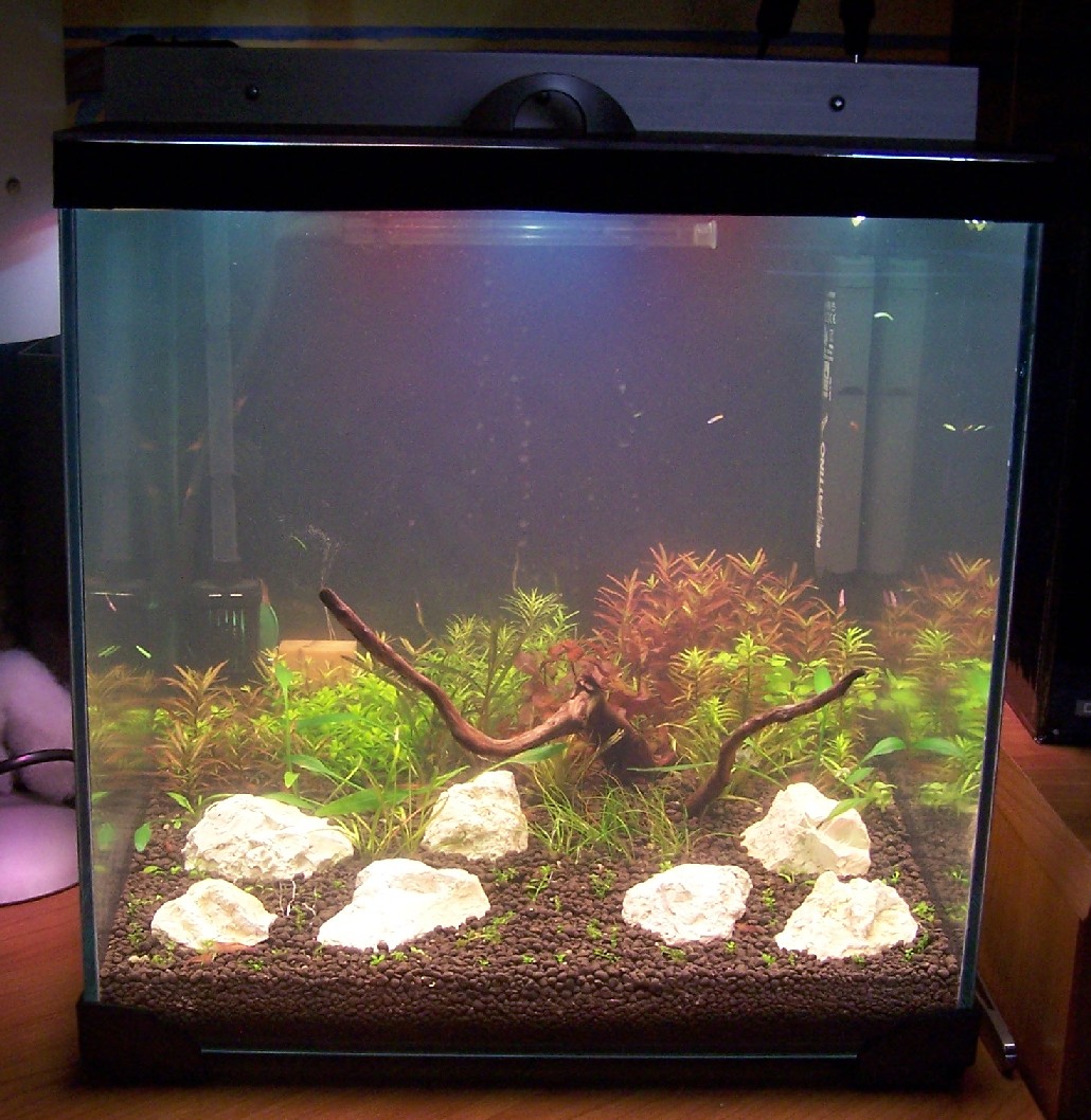 Rampe à leds...en test !!! • Aquarium récifal / aquarium marin / aquarium eau de mer Reefguardian