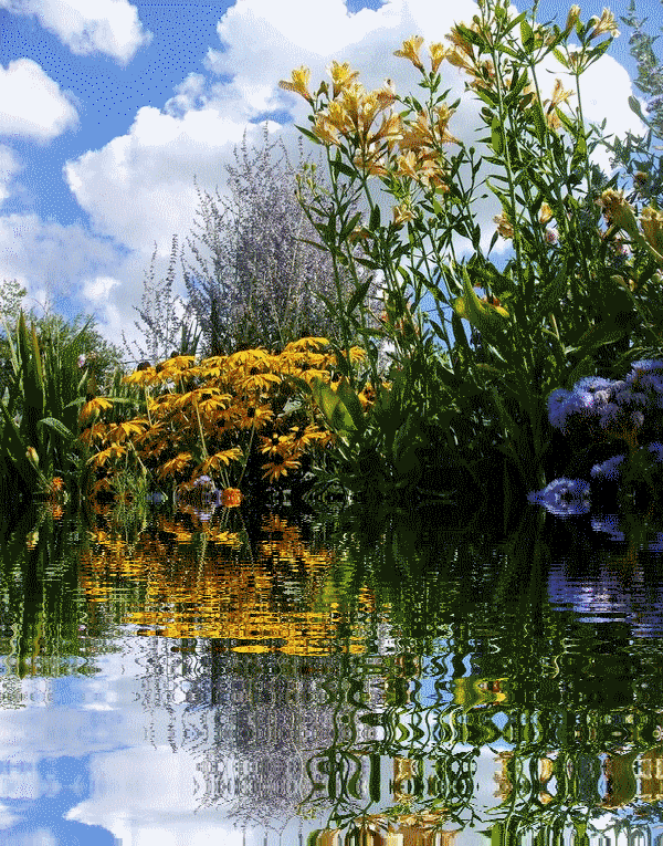 mon jardin