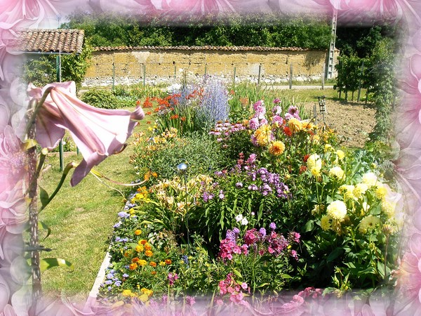 mon jardin