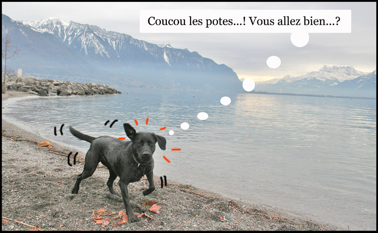 Image h�berg�e par Casimages.com : votre h�bergeur d images simple et gratuit