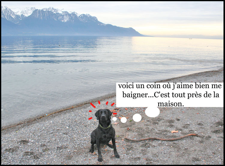 Image h�berg�e par Casimages.com : votre h�bergeur d images simple et gratuit