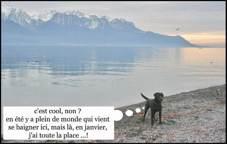 Image h�berg�e par Casimages.com : votre h�bergeur d images simple et gratuit