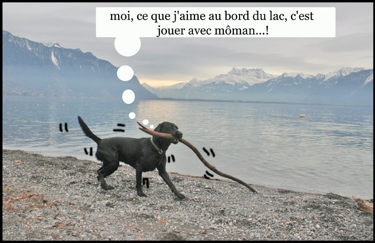 Image h�berg�e par Casimages.com : votre h�bergeur d images simple et gratuit