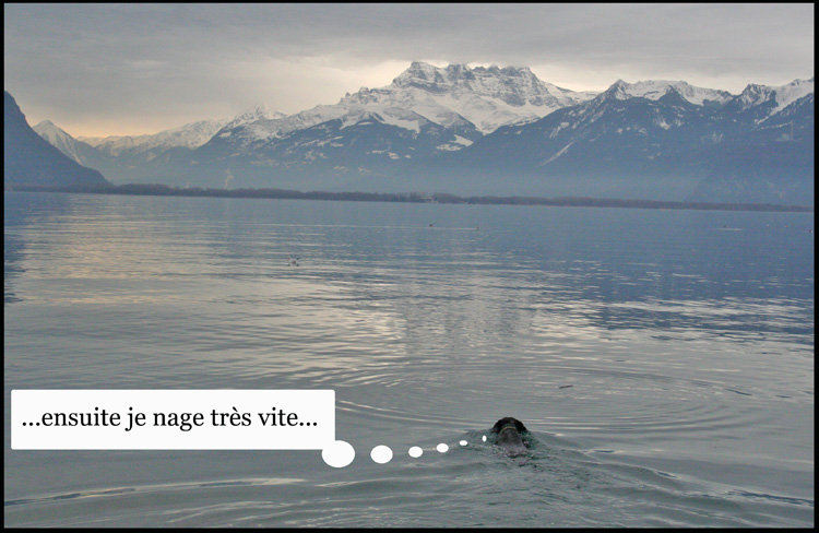 Image h�berg�e par Casimages.com : votre h�bergeur d images simple et gratuit