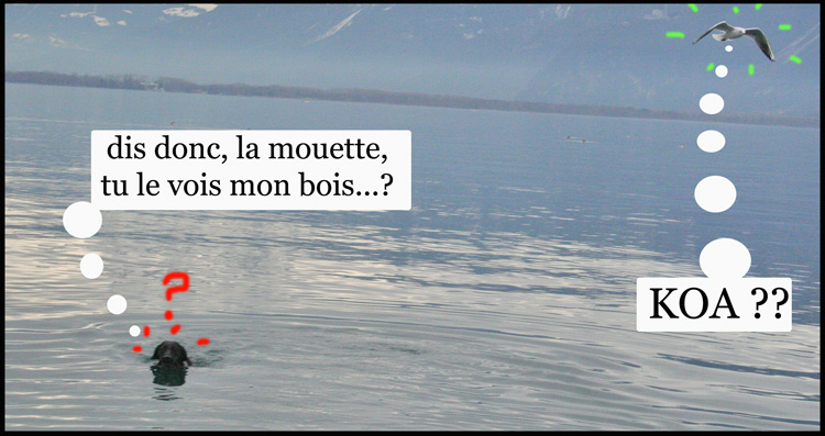 Image h�berg�e par Casimages.com : votre h�bergeur d images simple et gratuit