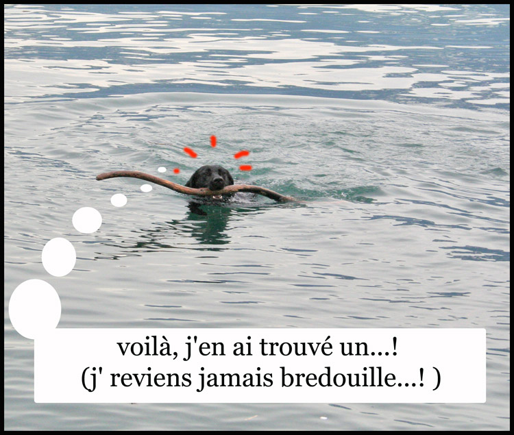 Image h�berg�e par Casimages.com : votre h�bergeur d images simple et gratuit
