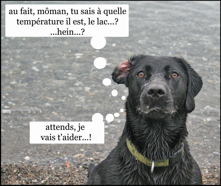 Image h�berg�e par Casimages.com : votre h�bergeur d images simple et gratuit