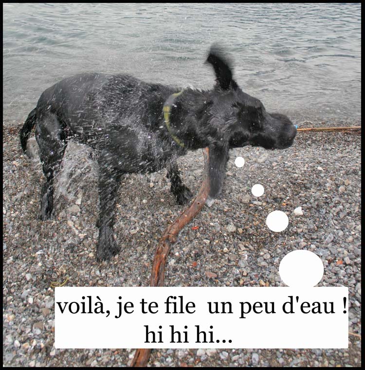 Image h�berg�e par Casimages.com : votre h�bergeur d images simple et gratuit