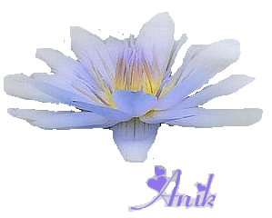 Image hébergée par Casimages.com : votre hébergeur d images simple et gratuit