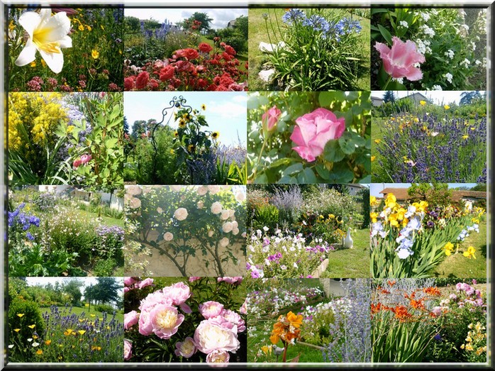 Mosaique mon jardin