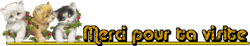 Image hébergée par Casimages.com : votre hébergeur d images simple et gratuit