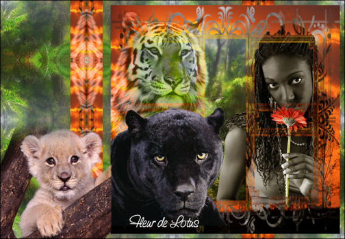 Image hébergée par Casimages.com : votre hébergeur d images simple et gratuit