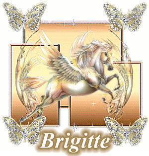 Image hébergée par Casimages.com : votre hébergeur d images simple et gratuit
